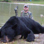 bear2