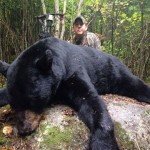 brad_332boar